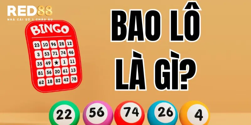 Bao lô là gì