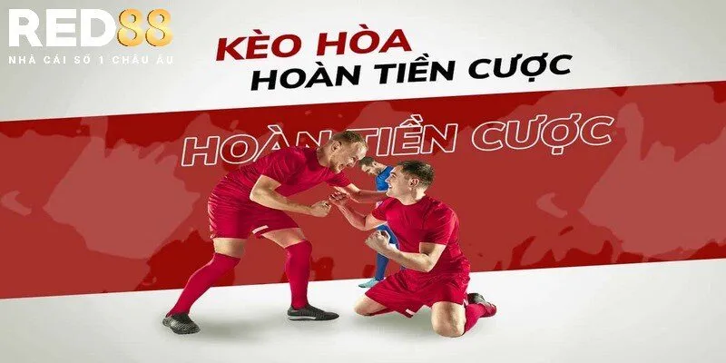 Bật mí bí quyết cá cược kèo Draw No Bet hiệu quả