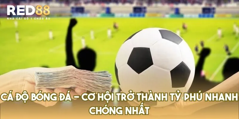 Cá Độ Bóng Đá – Cơ Hội Trở Thành Tỷ Phú Nhanh Chóng Nhất