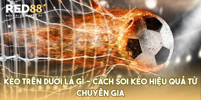 Kèo Trên Dưới Là Gì – Cách Soi Kèo Hiệu Quả Từ Chuyên Gia