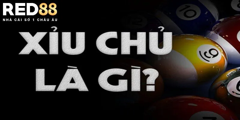 Khám phá về xỉu chủ là gì