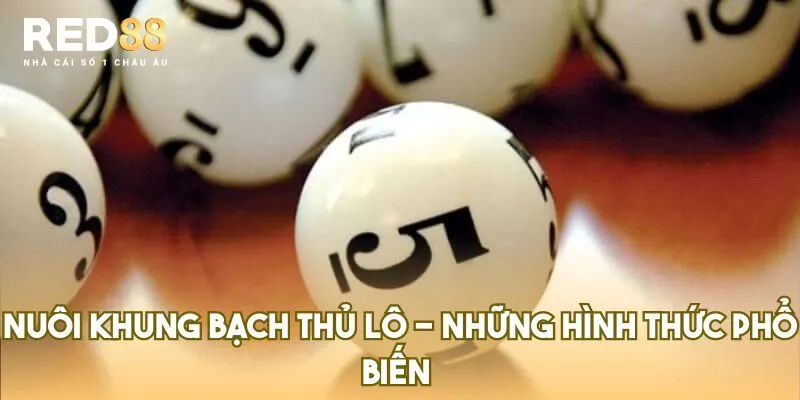 nuôi khung bạch thủ lô