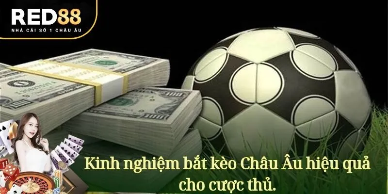 Kinh nghiệm bắt kèo Châu Âu hiệu quả cho cược thủ.