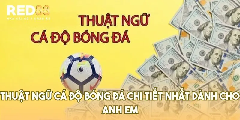 Thuật Ngữ Cá Độ Bóng Đá Chi Tiết Nhất 2024 Dành Cho Anh Em