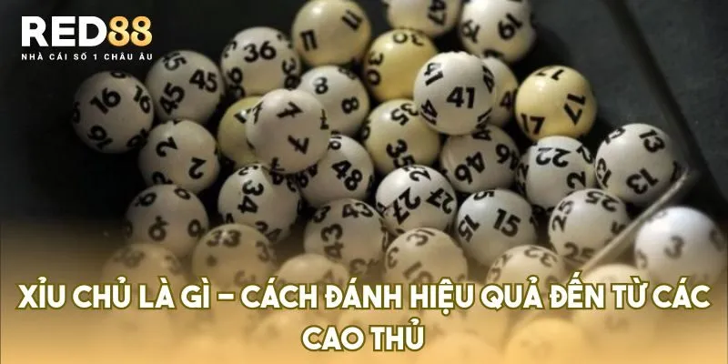 xỉu chủ là gì