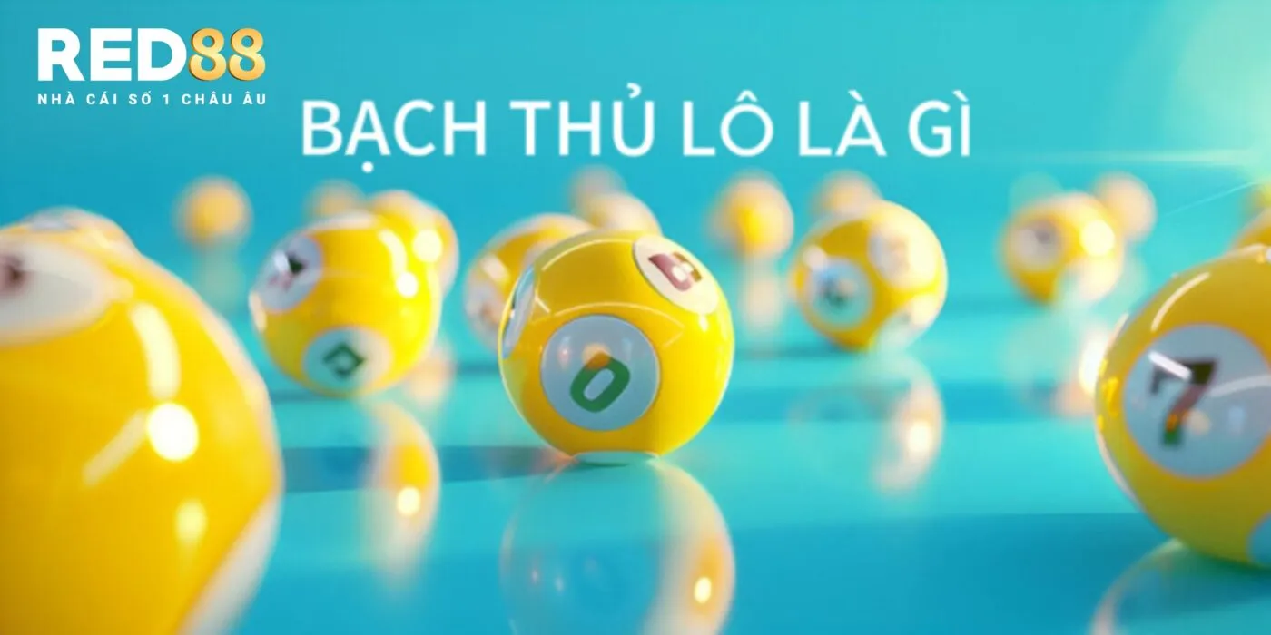 Bạch Thủ Lô là gì? 